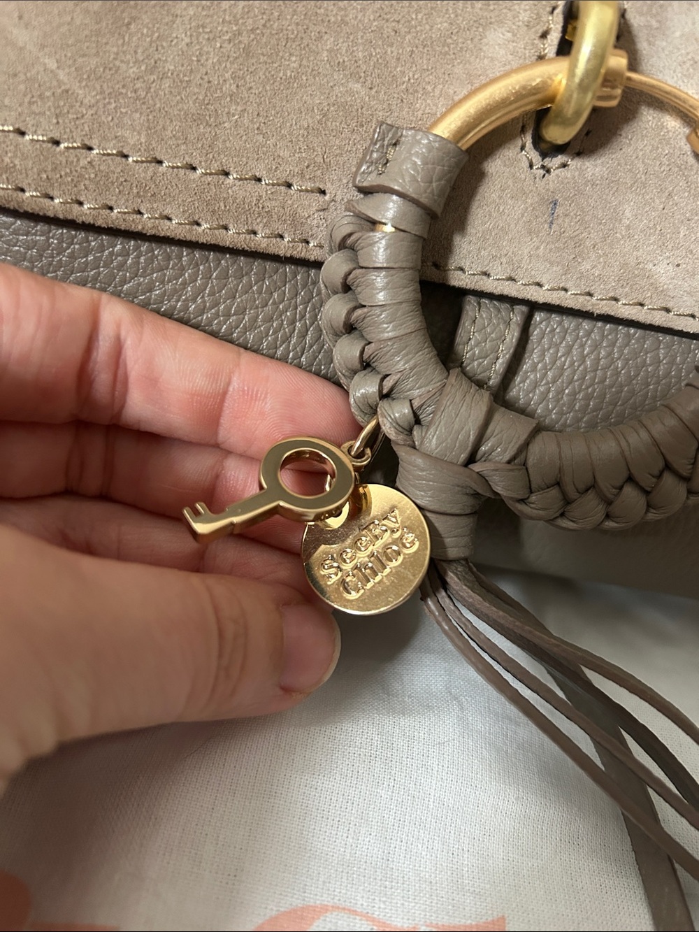 See By Chloé Taupe Suede & Leather Shoulder/Crossbody Bag - Picture 4 of 12